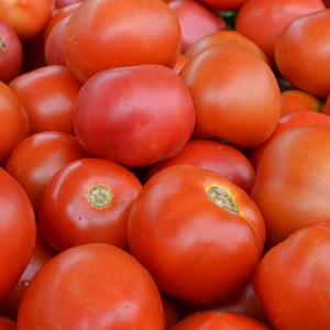 Computer Control Tomatoes Black Sorting And Grading Machine 380V 6 Channels