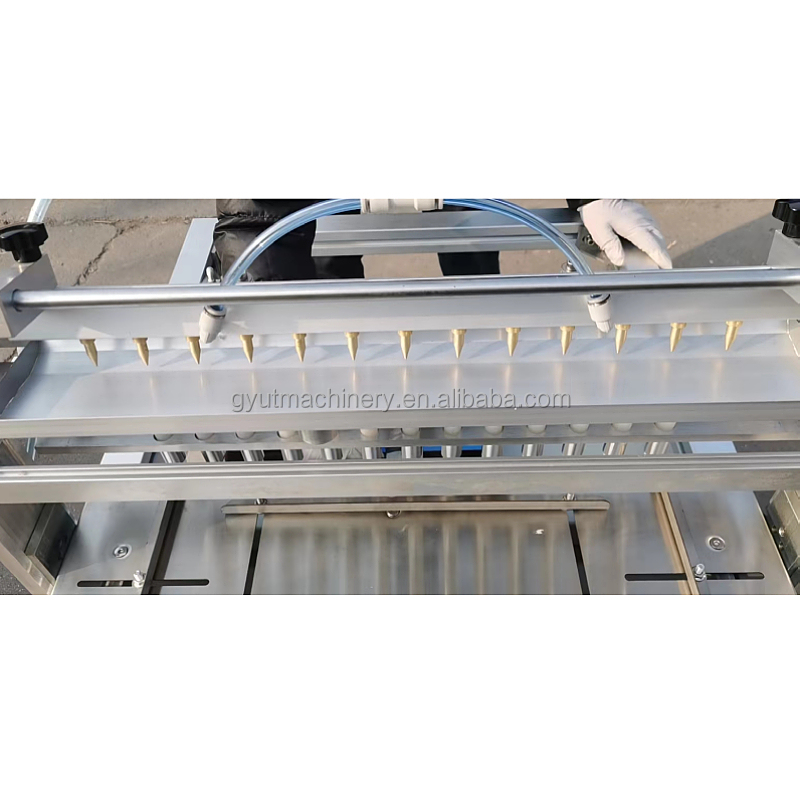 11 Rows Automatic Vegetable Seed Planter for Onion Eggplant and Broccoli 600*700*800mm