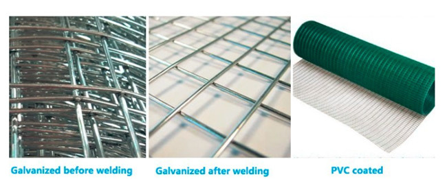 1/4 Inch Welded Wire Bird Cage Panels Hardware Cloth Galvanized