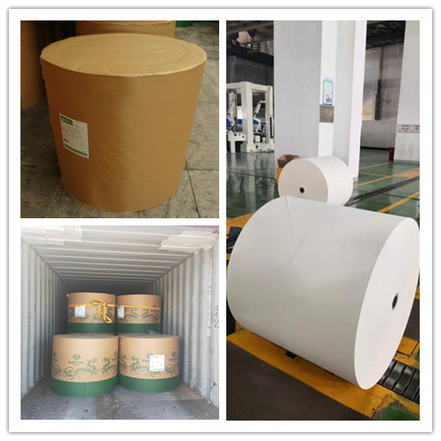 Virgin Pulp 120 gsm White Woodfree Printing Paper with ISO9001/14001 Standard