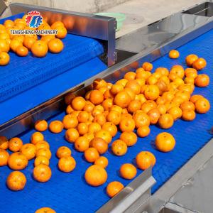 Fruit and vegetable selection washing and drying production line Fruit Vegetable