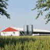 Buy cheap Metal Frame Steel Structure Cow Shed Prefabricated Farm Shed Building from wholesalers