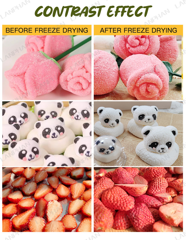4 Trays Skittle Vacuum Freeze Drying Machine Small Benchtop Home Freeze Dryer For Candy