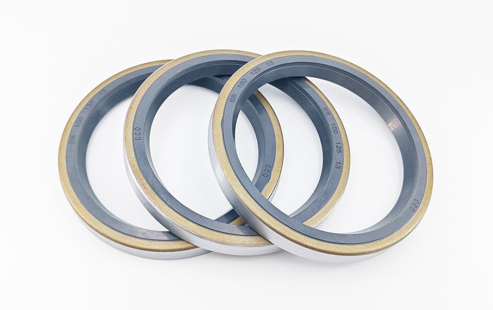 Double Lip Oil Seals Hydraulic Pump Oil Seal Rubber Mechanical O Ring Seals