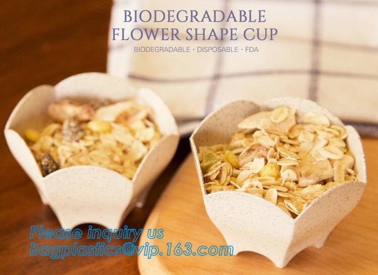 Meal Prep Containers Free Sample Bento Lunch Box Biodegradable Food Container Plastic Wheat Straw Lunch Box bagplastics