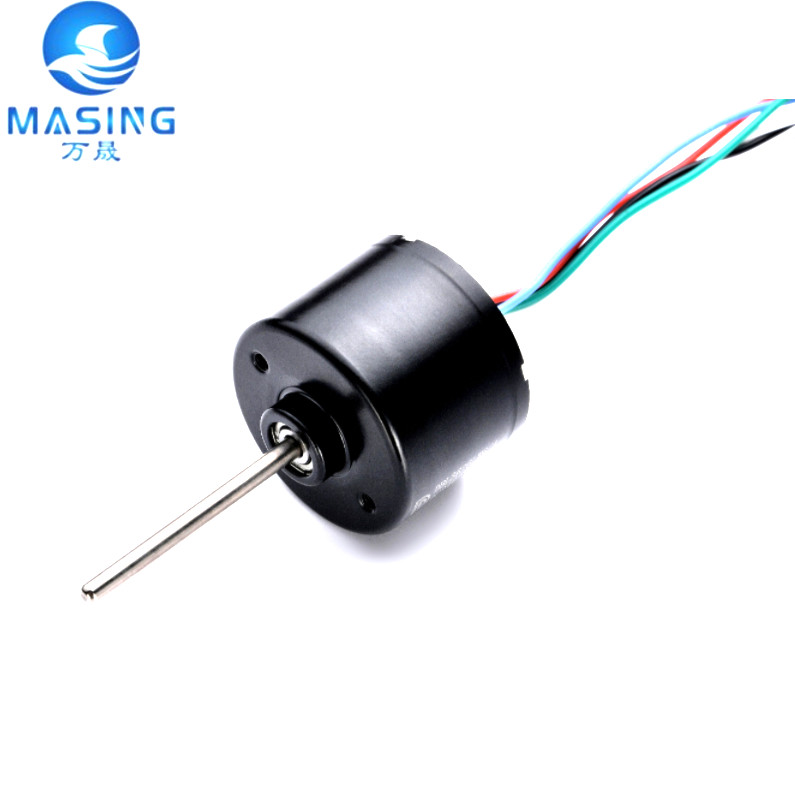 BLDC6032 24 Volt Brushless DC Motor High Power 3000rpm M8 Shaft For Fan Motor