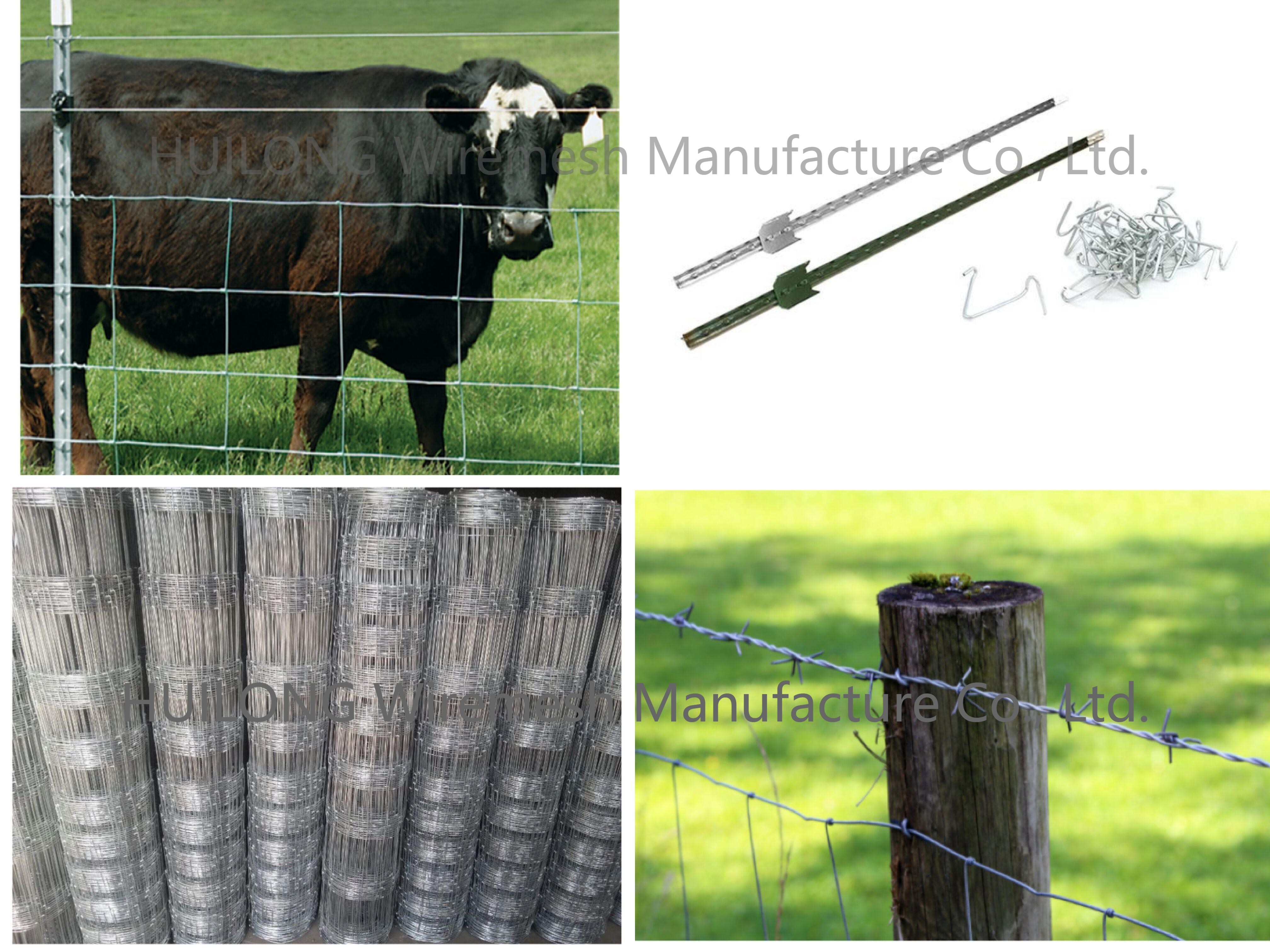 10 120 15 Dog Wire Fence Roll Q195 Carbon Steel High Strength Galvanized