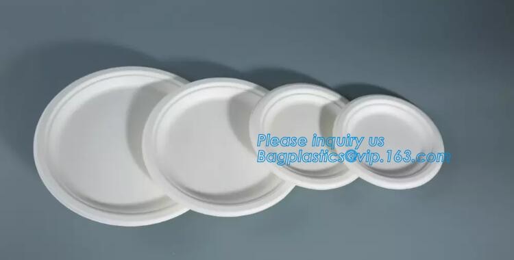 Meal Prep Containers Free Sample Bento Lunch Box Biodegradable Food Container Plastic Wheat Straw Lunch Box bagplastics