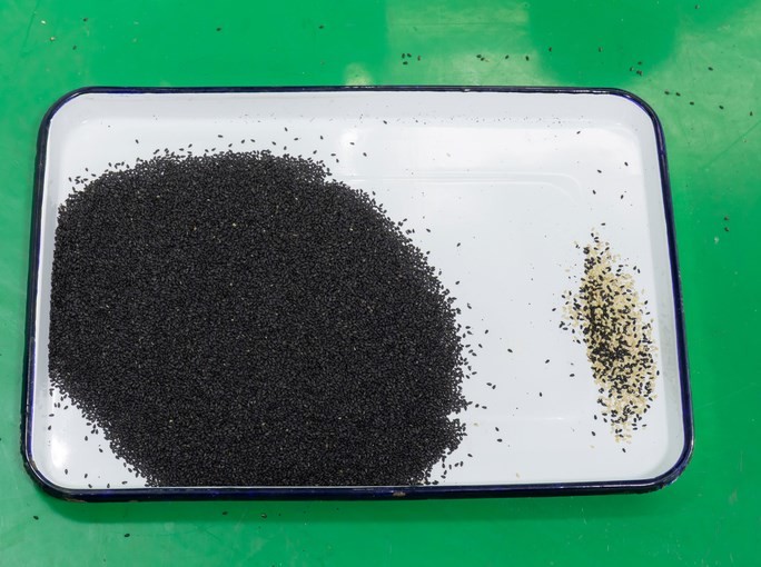 Optical CCD Grain Color Sorter Multifunction High Efficiency