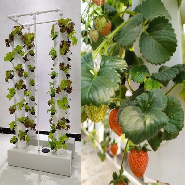 Intelligent Hydroponics Vertical Garden Planting Herbal Plants NFT Growing