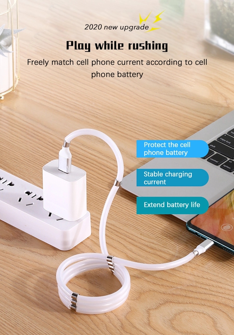 Self Winding Organizing Magnetic ROHS USB C Charging Cable