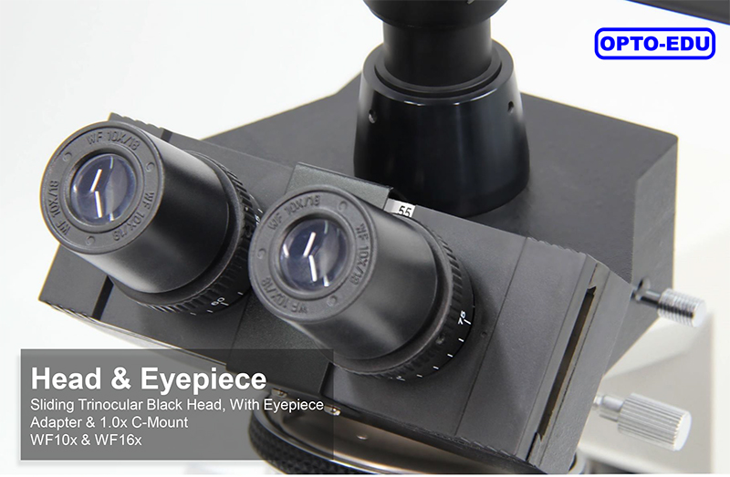 Portable 1600x Magnification 2.0x2.0um Digital Lcd Microscope