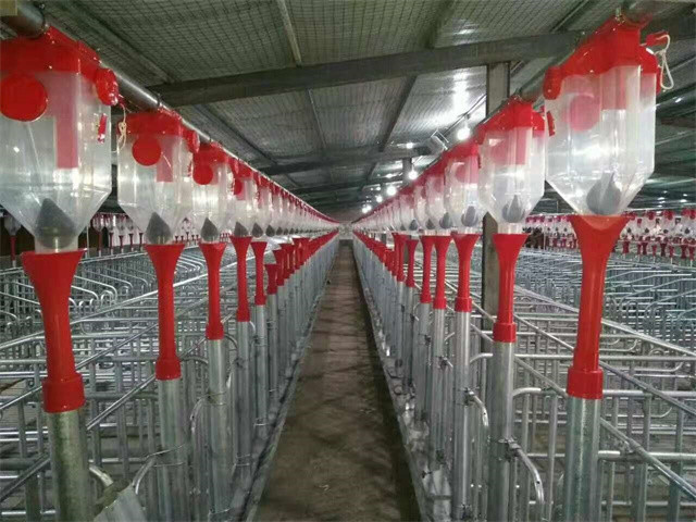 2.5 - 30 Tons Silo Piggery Farm Equipment Swine Breeding Equipment ISO9001