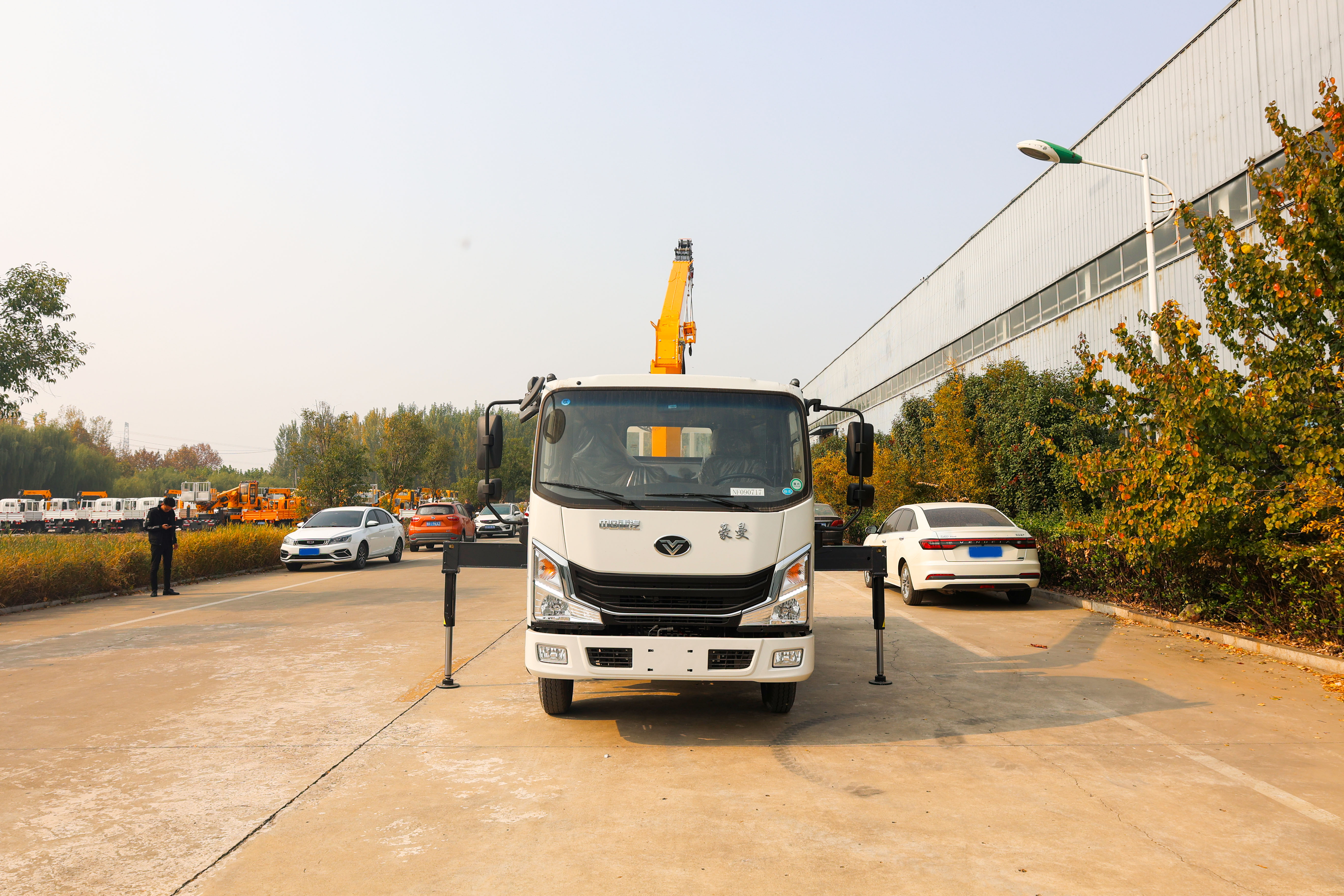 small truck mounted crane truck 4x2 cargo truck with crane