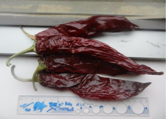Dried Red Paprika Pods For Your Food Ingredients Business