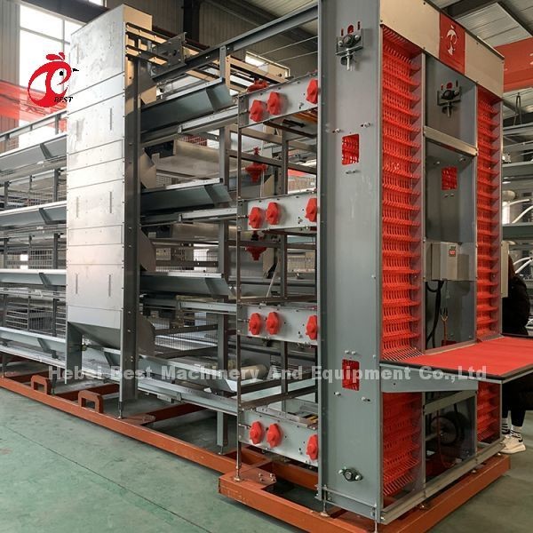  A Or H Type Automatic Chicken Cage Equipment Of Feeding Hopper Egg Collection System For 35,000 Birds Doris Manufactures