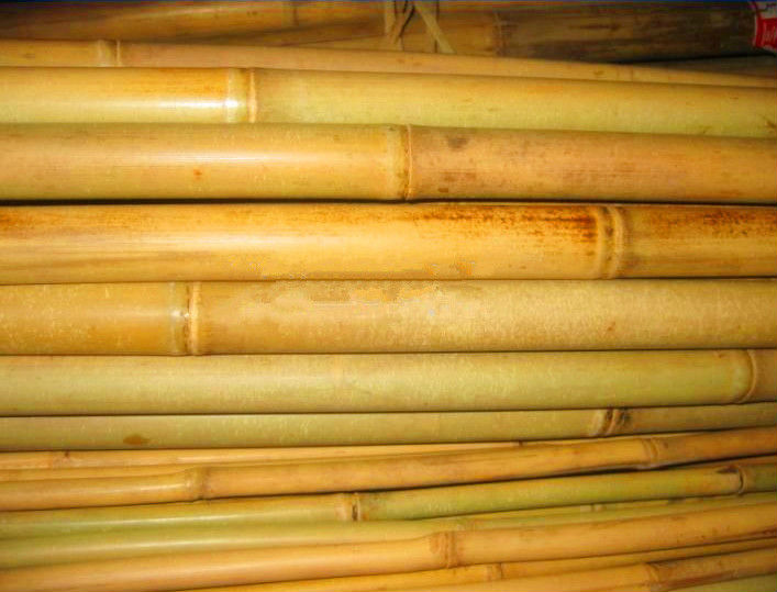 Functional Bamboo Pole Wear Resistant Environmental Friendly 0.1-12m Length