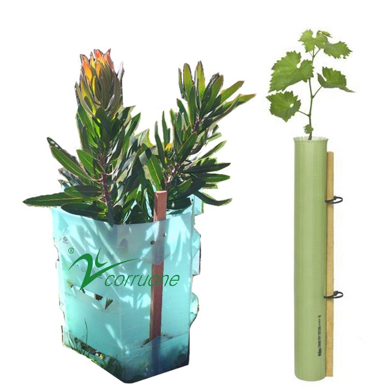 100% Pp Pe Corrugated Plastic Tree Guard Uv Resistant