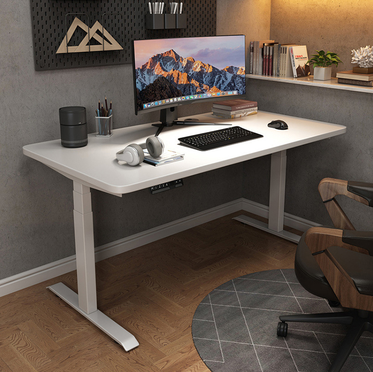 Electric Height Adjustable Study Table for Home Office Small Size Dual Motor 2 Stage