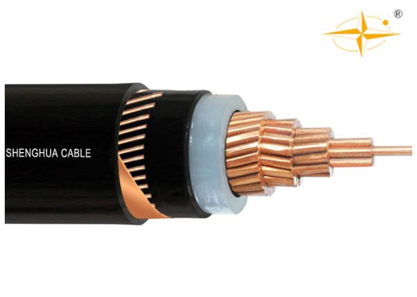 MV 19/33kV CU/XLPE/CTS/PVC XLPE Insulated Power cable with the copper wire
