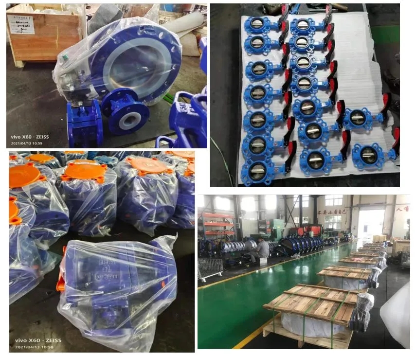 Industrial Usage Steam Trap Valve and Drain Valve with Standard Customization Service