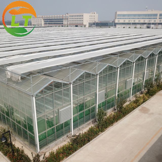 Multi-Span Agricultural Greenhouses with Hot-Dip Galvanized Steel and Smart System