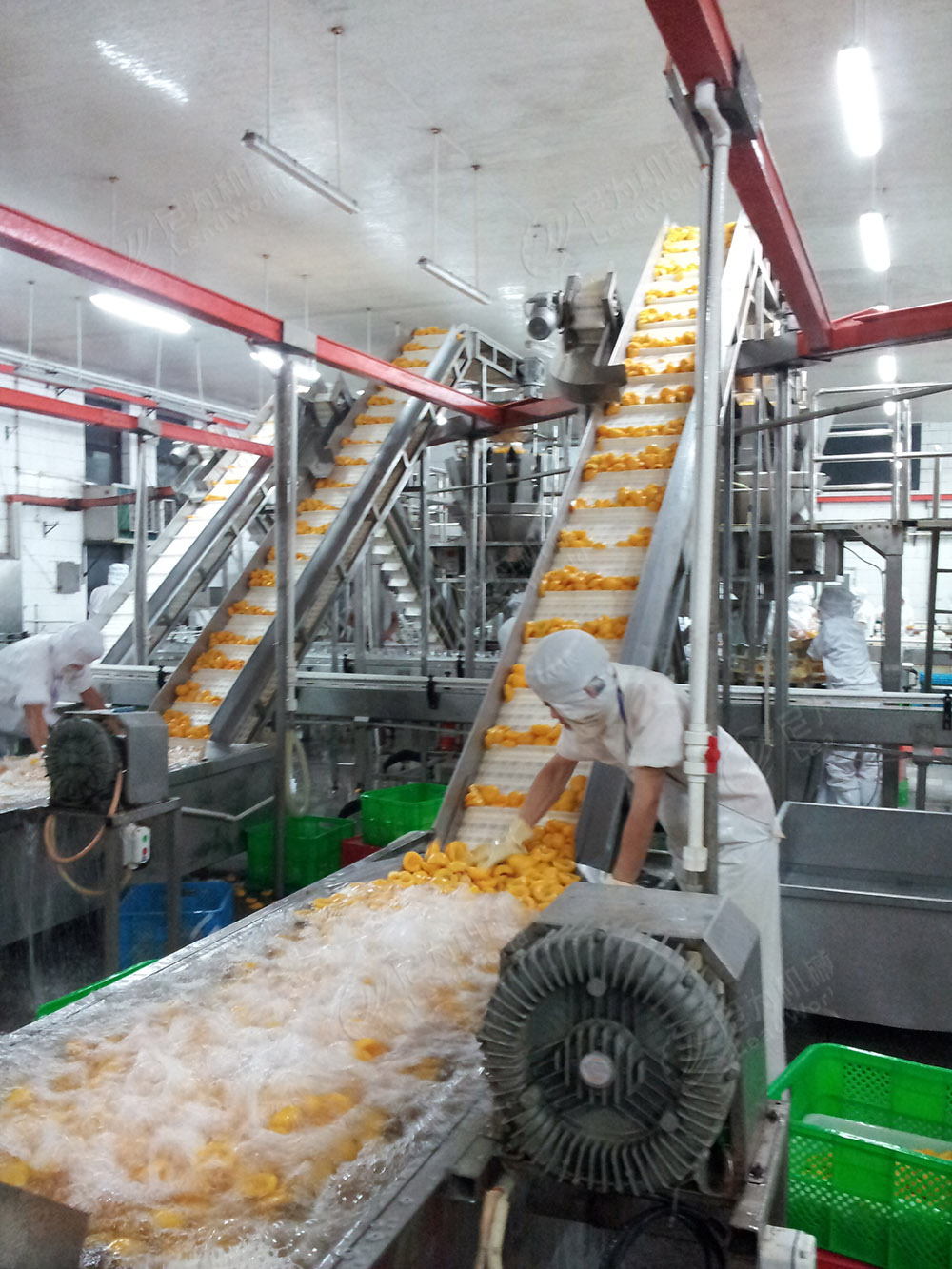 Leafy Vegetables And Fruits Cleaning Lettuce Washer Potatoes Washing Machine