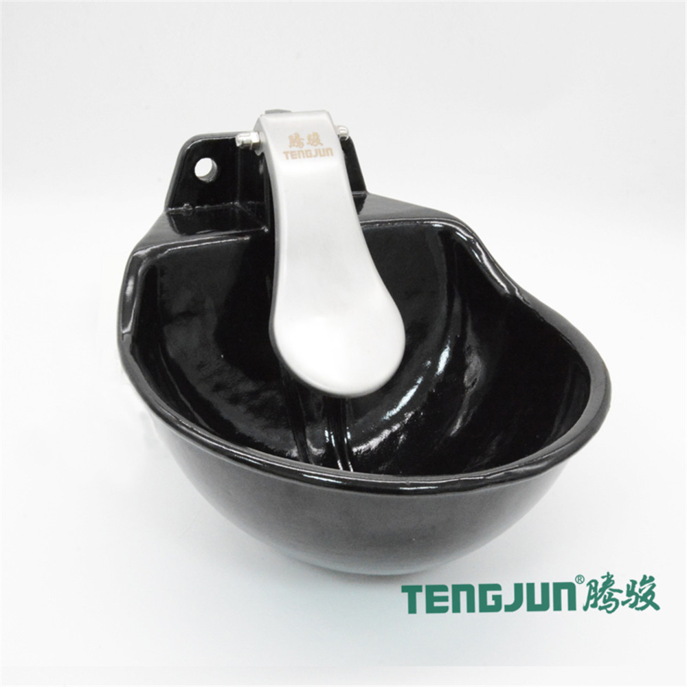 Automatic Iron Enamel Surface 2.5L Capacity Drinking Bowl for Cattle
