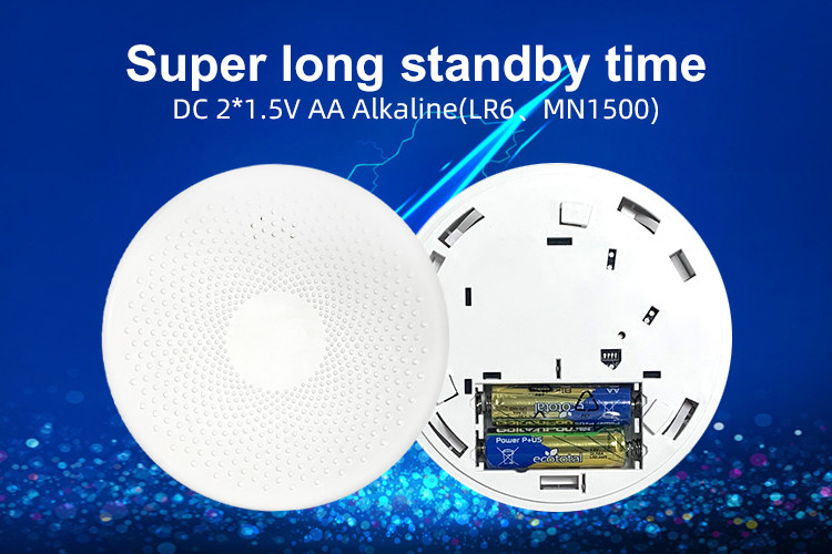 Combination Smoke CO Alarm With Test Button Photoelectric Smoke Alarm Detector