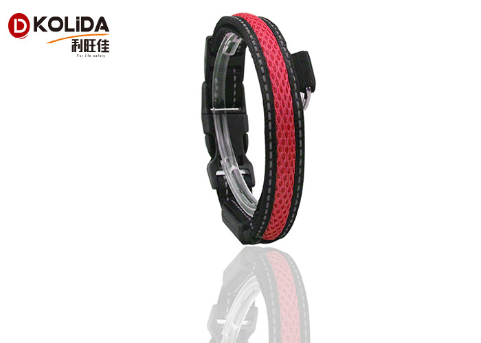 Nylon Webbing 100% Eco - Friendly Nighttime Safety LED Dog Collar Double For Small Dogs