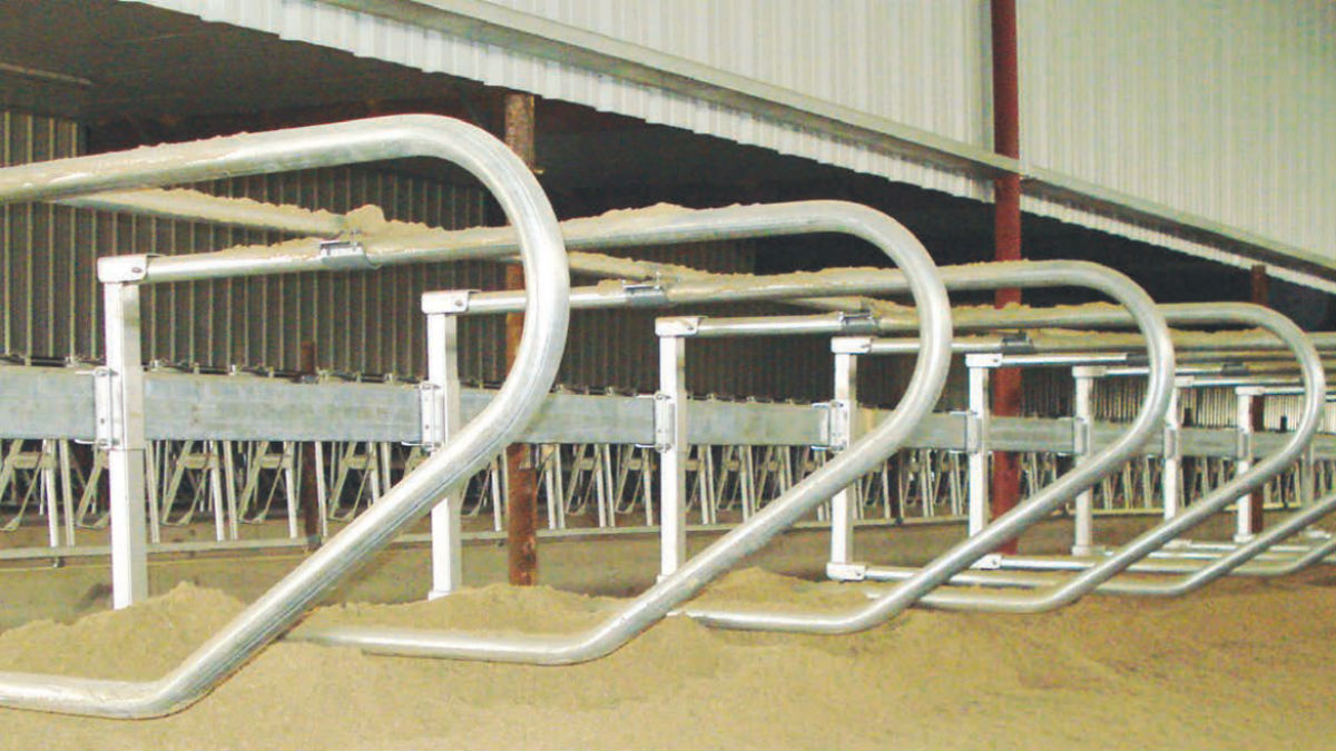 Cow Livestock Equipment Metal Cast Iron and Stainless Steel Welded for Quick Results