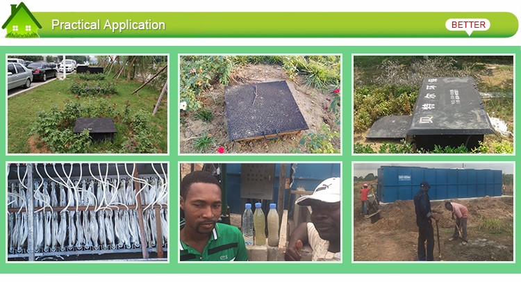 Revolutionary Sewage Treatment System for High Organic Content Wastewater Management