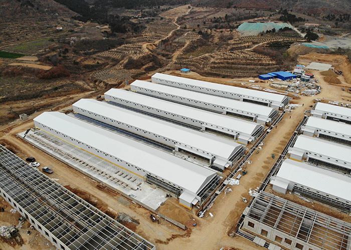 Light Steel Structure Poultry Farming Structures Poultry House
