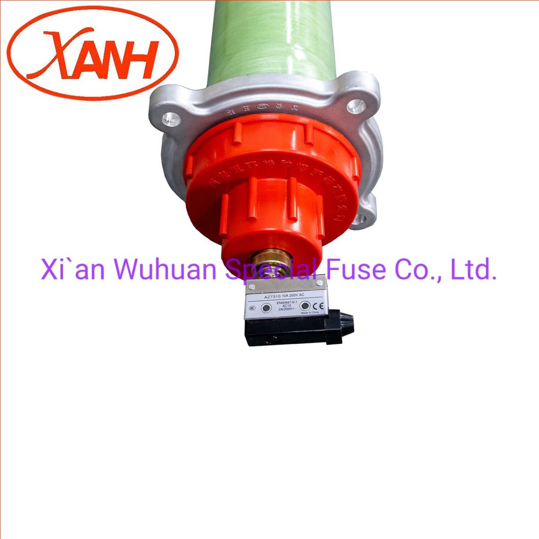 Sample Customization High Voltage Fuse Xrnt3-15.5q Model/High Voltage Current Limiting Fuse