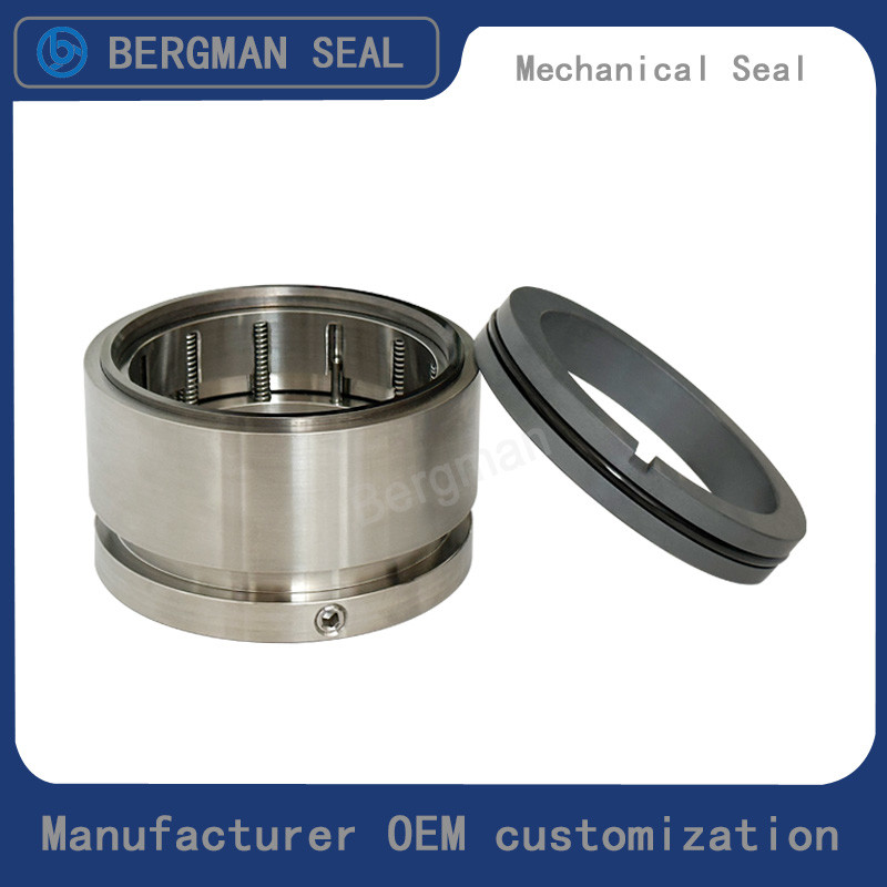 BERGMAN Replaces Hyster 50.8mm 76.2mm 95mm 100mm Pump Mechanical Seal