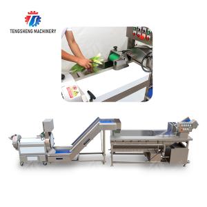 Double head cutting-hoisting-vortex washing production line Fruit Vegetable FOOD