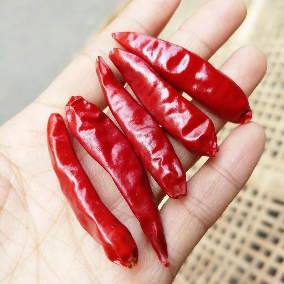 Stemless Whole Dry tien tsin chiles Aste Mild 8, 000 Shu MUI/KOSHER/HACCP Certificates
