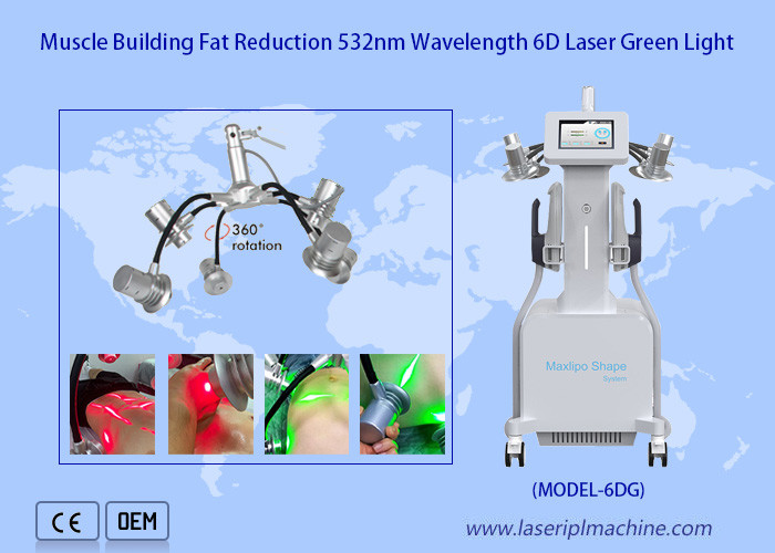 532nm 635nm Cold Laser Weight Loss Machine 10d Maxlipo Master