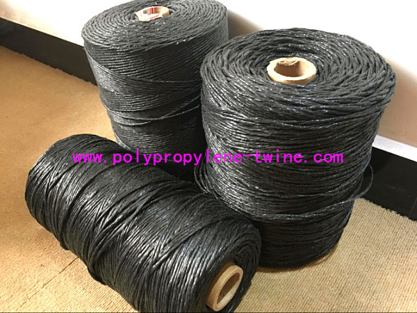 Fibrillated Twisted PP Filler Yarn Best Breaking Load Winding on Paper Tube