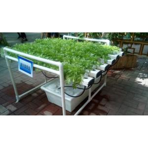 Factory outlet hydroponic system multi-layers growing system save water and eazy