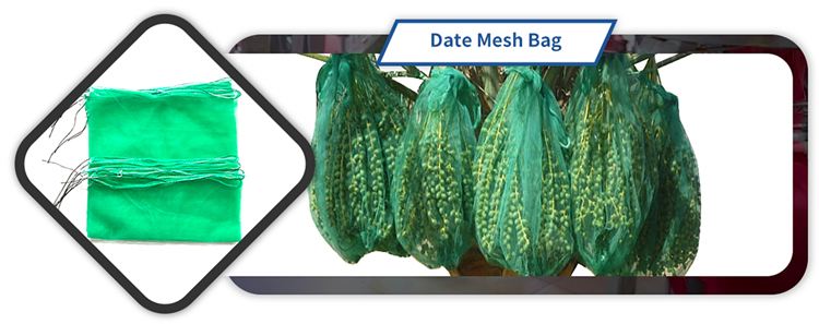 Middle East Popular HDPE Monofilament UV Date Palm Tree Net Mesh Bags 100% Virgin Customized 63g