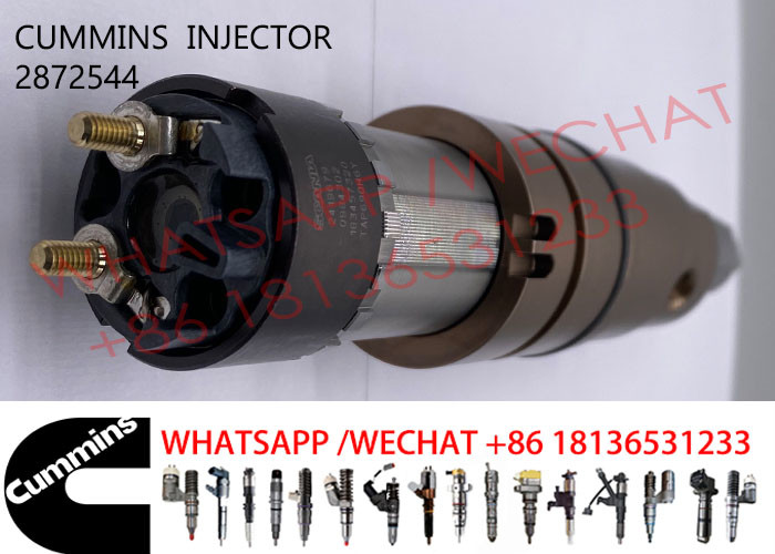 2872544 Diesel Common Rail Fuel Injector 4955080 2872289 2872284 For SCANIA