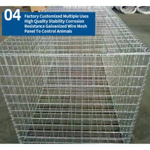 Widely Used Galvanized Welded Wire Mesh For Chicken Pens And Galvanized Welded