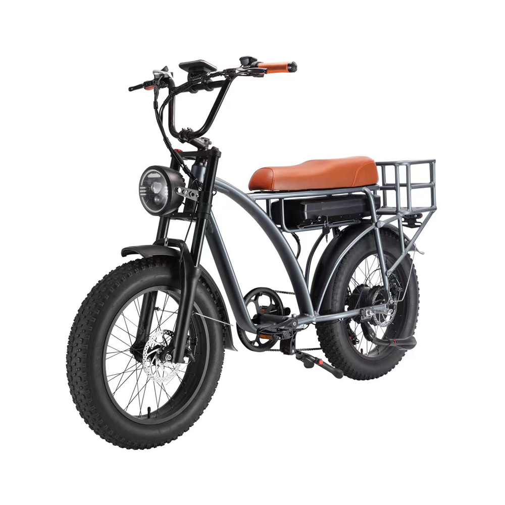 Electric Fat Bike 500W 750W Super Nice 73 Electric Bike with 48V 18AH Lithium Battery