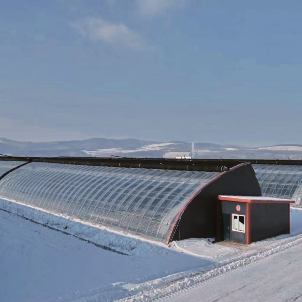 Aquaponics Sunlight Greenhouse Vegetable Production System