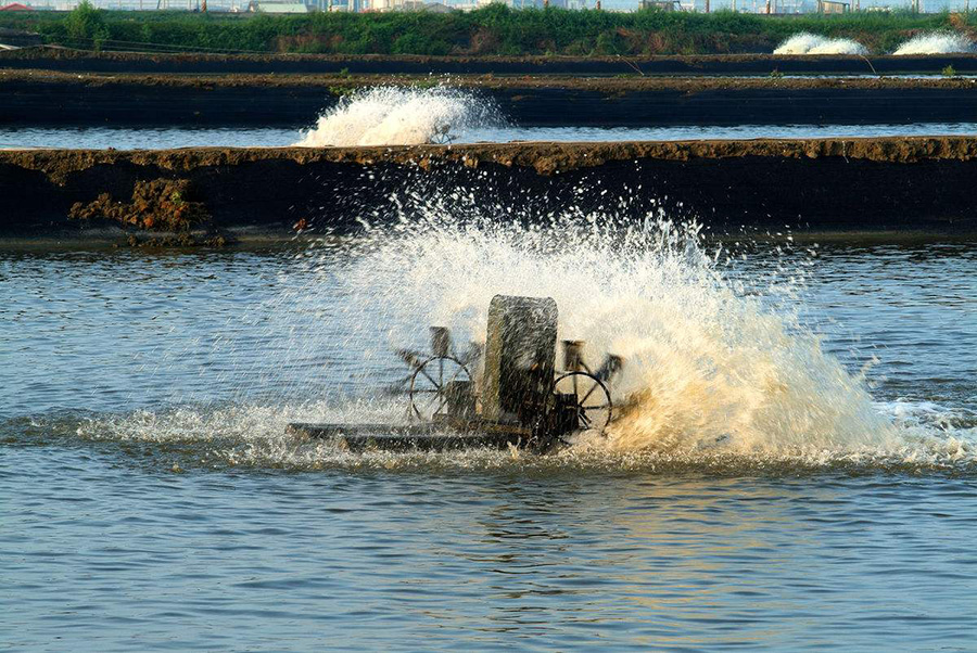 500 micron HDPE Geomembrane Shrimp Pond Liner for Durable Shrimp Farming in Indonesia