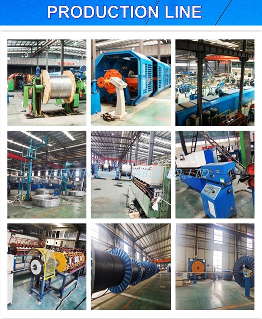 Transmission Line Aluminum Alloy Conductor Steel Reinforced Aacsr