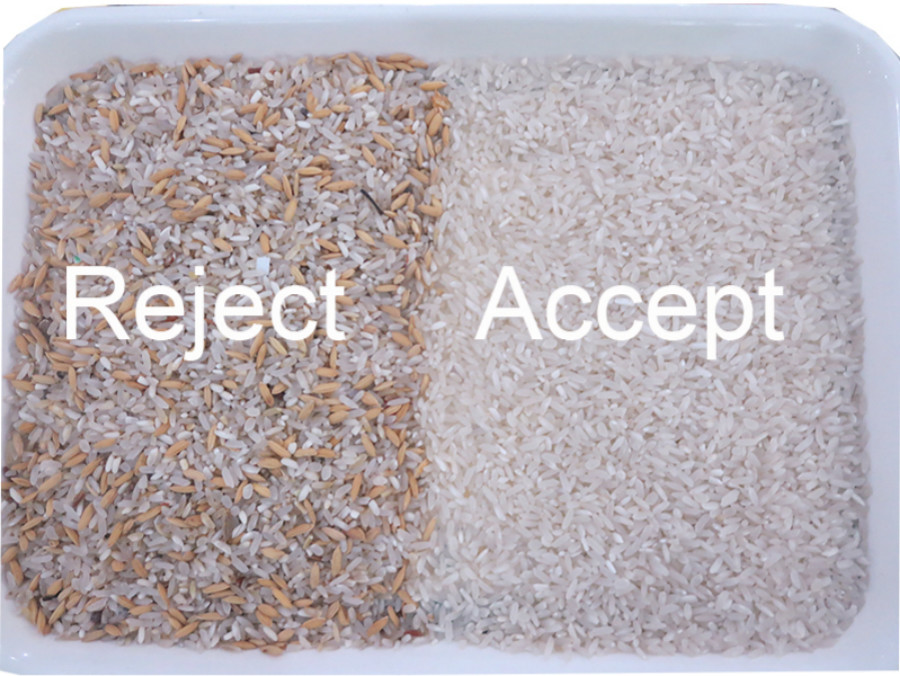 Automatic rice color sorting machine Rice Color Sorting Machine