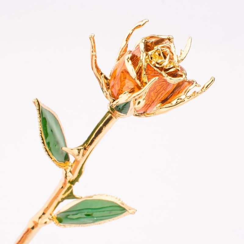 Wholesale OEM/ODM Real Preserved Rose Dipped In Gold Rose 24k Gold Roses
