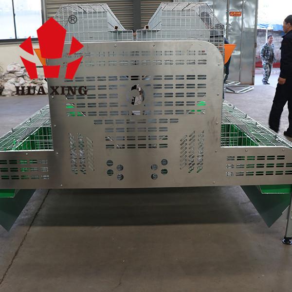 Industrial Rabbit Breeding Cage Automatic Equipment Mother Baby Rabbit Poultry